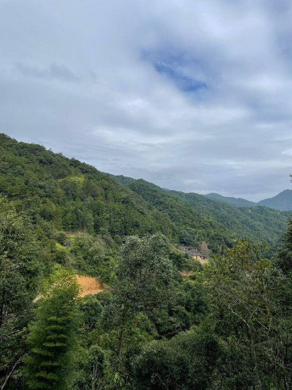 我村最高峰，海拔一千二