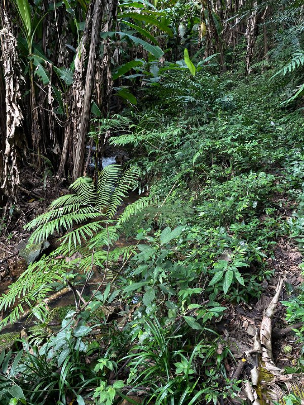 山有小口，仿佛若有光……缘溪行，忘路之远近……13 km，爬升 1000m，又是一条有趣的野线