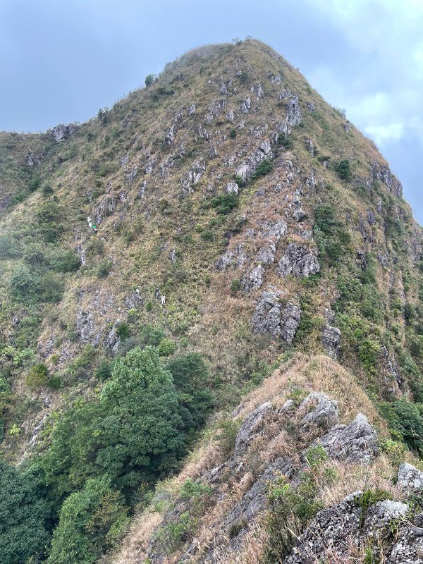 #徒步 #爬山 #Hiking⛰️ 永定笔架山🗓️ 日期：20251109🧗 人数：9 人🛣️ 路线：笔架山反穿环线（15km，爬升 1200m）⏳ 用时：7h 20min📍 福建·龙岩·永定区·虎岗镇·虎西村🏔 该山呈东西走向，属玳瑁山山脉分支，因三峰鼎力状如笔架得名，顶峰海拔 1350m 左右