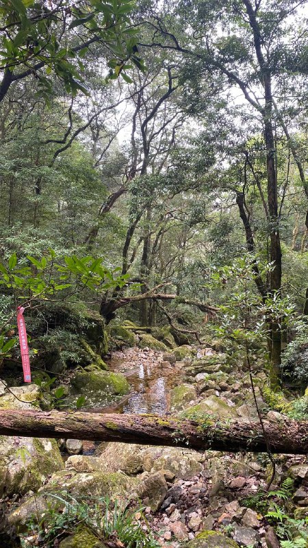 昨天和一群有趣的小伙伴在龙岩爬了黄连盂，不愧能在小红书火起来的新近户外徒步好去处啊