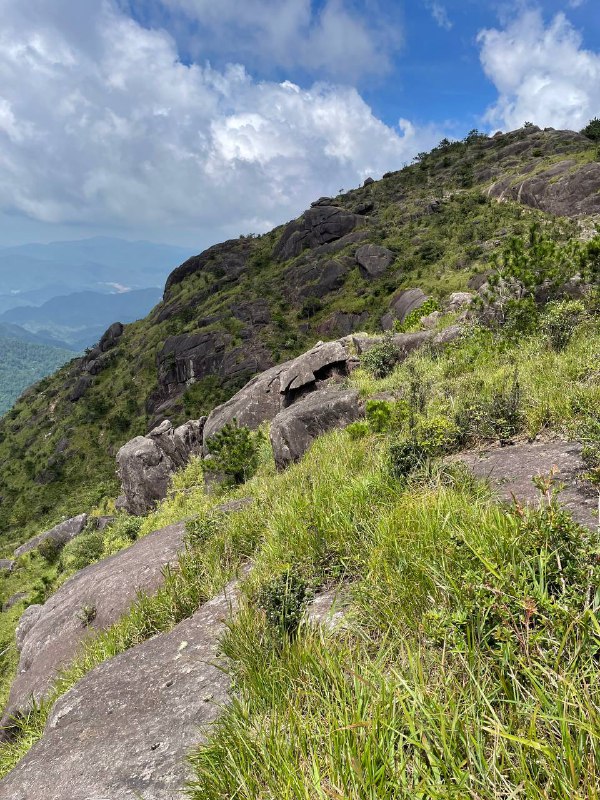 闽西第一峰狗子脑，不走环线或跟庙金山连穿的话很简单