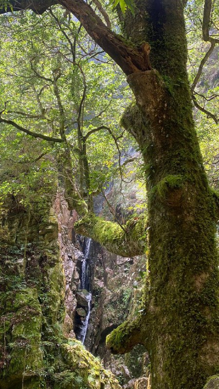 昨天和一群有趣的小伙伴在龙岩爬了黄连盂，不愧能在小红书火起来的新近户外徒步好去处啊
