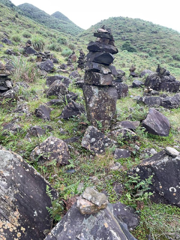 雨徒龙岩草尾山尖，体验感拉满