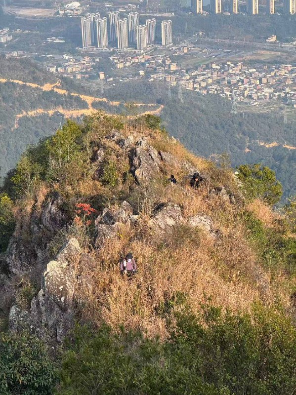 #徒步 #爬山 #Hiking⛰️ 龙门尖笔山 & 狮头山🗓️ 日期：20251206🧗 人数：11 人🛣️ 路线：尖笔山狮头山环线（10km，爬升 1000m）⏳ 用时：7h 25min📍 福建·龙岩·新罗区·龙门镇·洋畲村🏔 该山为紫金五峰之一，是龙岩八景「紫金晴雪」之所在