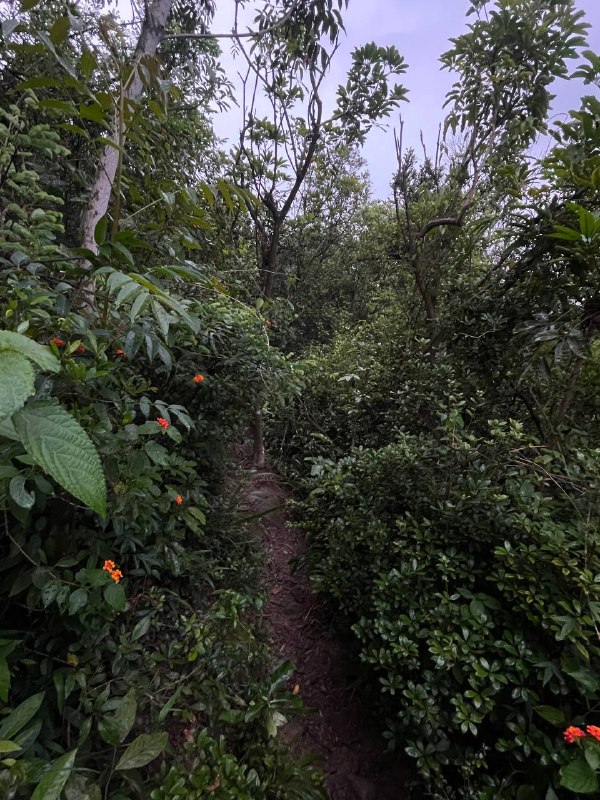 雨中hiking - 厦门·洞房谷雨中hiking - 厦门·洞房谷