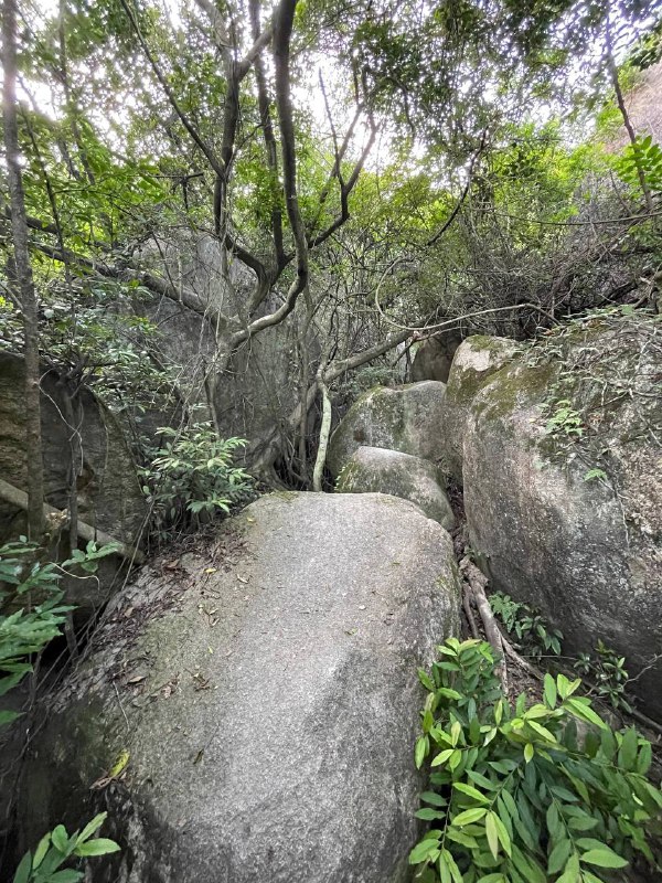 Solo Hiking，走了一条新路线：洞房左 → 蟒蛇壁 → 跳跳谷 → 城院