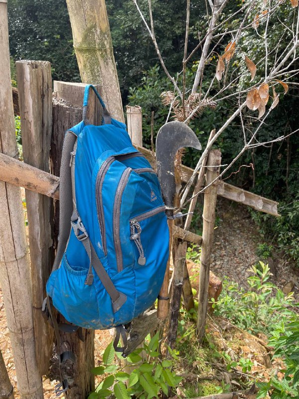 我村最高峰，海拔一千二