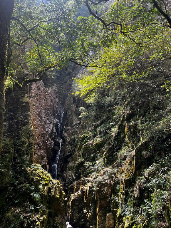 昨天和一群有趣的小伙伴在龙岩爬了黄连盂，不愧能在小红书火起来的新近户外徒步好去处啊