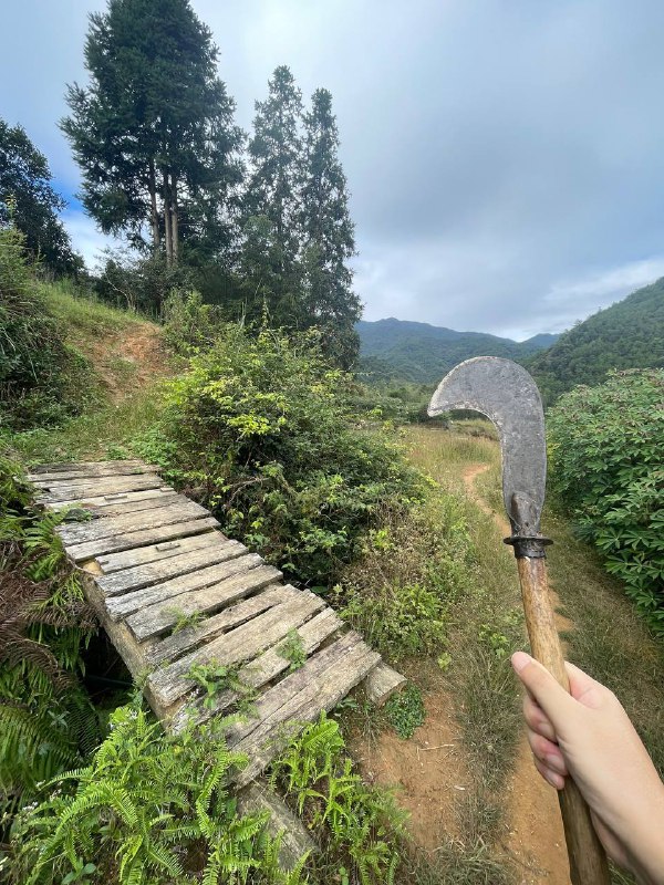 我村最高峰，海拔一千二