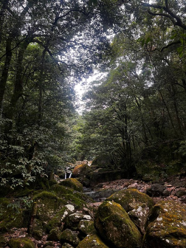 昨天和一群有趣的小伙伴在龙岩爬了黄连盂，不愧能在小红书火起来的新近户外徒步好去处啊