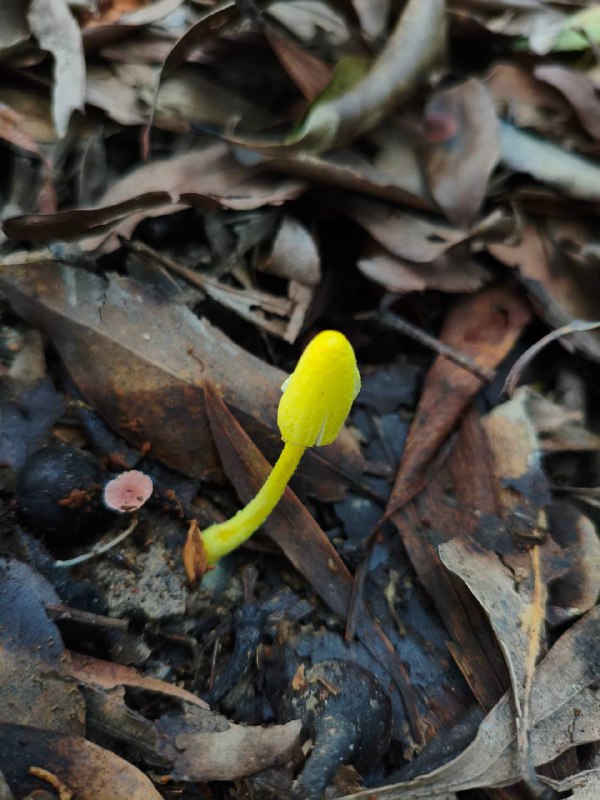 海沧七山轻松完成，这条应该是我开的线，今天是第一批爬的人，图片都是队友拍的