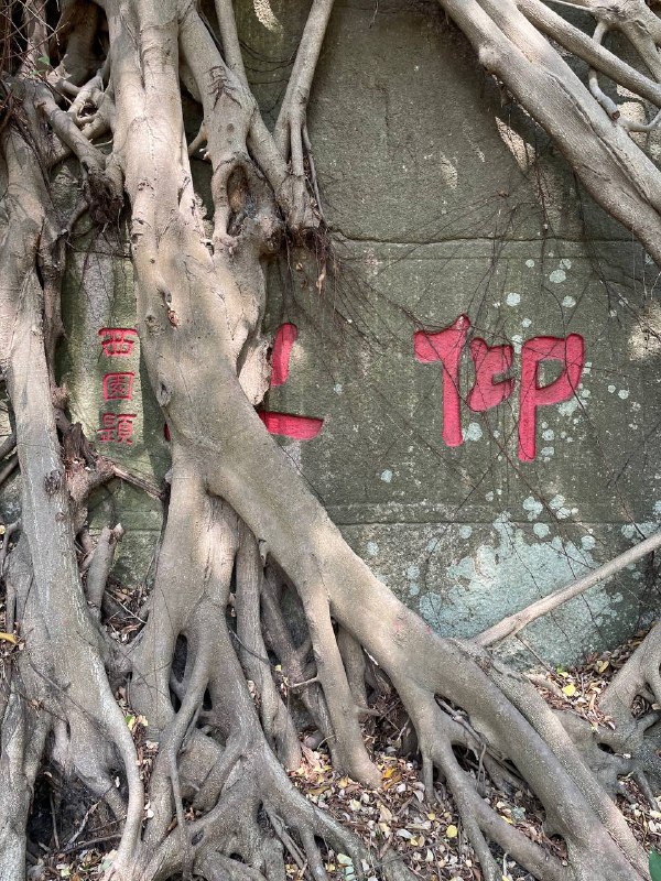 Ē-mn̂g 的起点：厦门城遗址