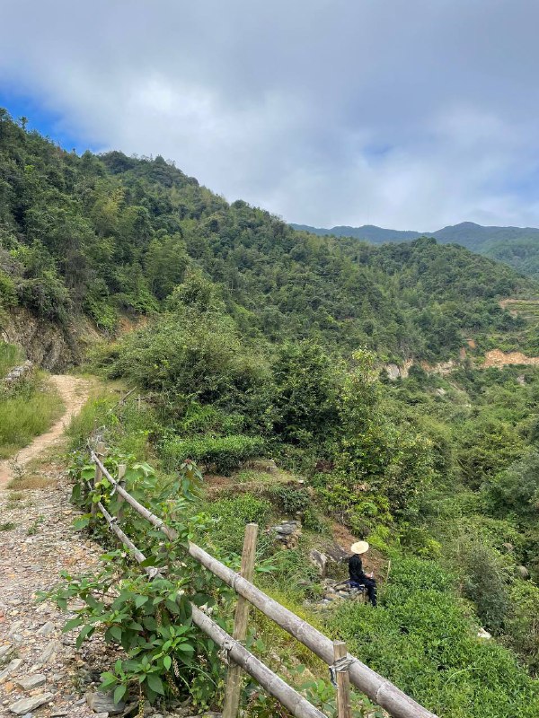 我村最高峰，海拔一千二