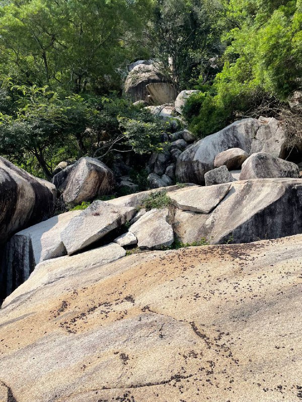 下午爬了一条新路线，日头恶毒，石头上都是羊屎，枯枝败叶也多，只能慢慢挪