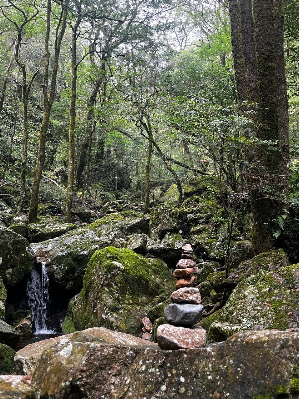 昨天和一群有趣的小伙伴在龙岩爬了黄连盂，不愧能在小红书火起来的新近户外徒步好去处啊