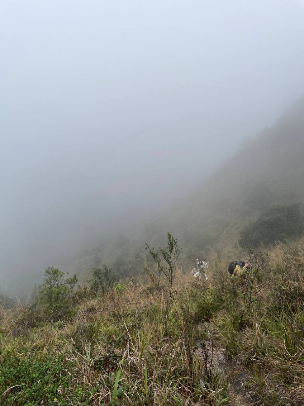 #徒步 #爬山 #Hiking⛰️ 永定笔架山🗓️ 日期：20251109🧗 人数：9 人🛣️ 路线：笔架山反穿环线（15km，爬升 1200m）⏳ 用时：7h 20min📍 福建·龙岩·永定区·虎岗镇·虎西村🏔 该山呈东西走向，属玳瑁山山脉分支，因三峰鼎力状如笔架得名，顶峰海拔 1350m 左右