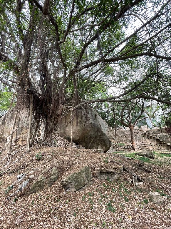 Ē-mn̂g 的起点：厦门城遗址