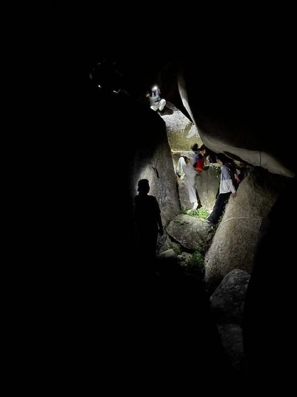 刚摘完野杨梅，又到了夜爬顺便抓知了猴的季节