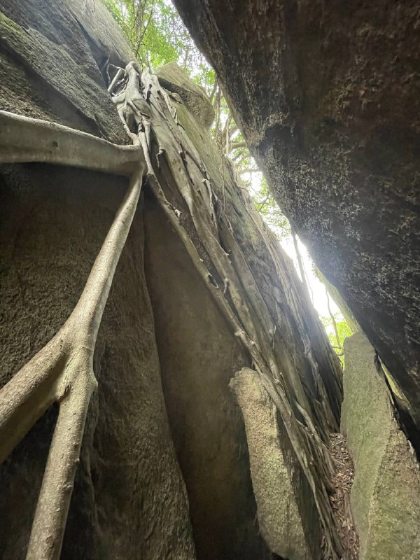 雨中hiking - 厦门·洞房谷雨中hiking - 厦门·洞房谷