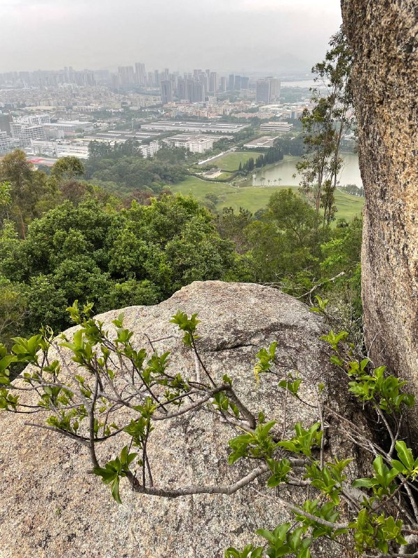 爬山误入了某企业的后花园：一大片生机盎然的草地和绿树还有湖泊