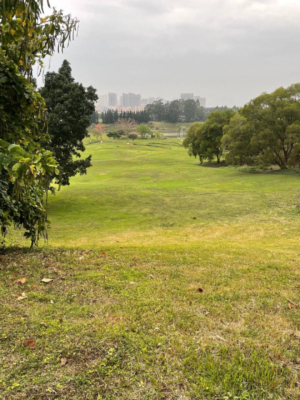 爬山误入了某企业的后花园：一大片生机盎然的草地和绿树还有湖泊