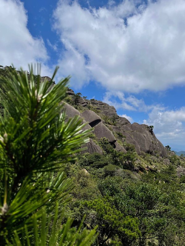 闽西第一峰狗子脑，不走环线或跟庙金山连穿的话很简单
