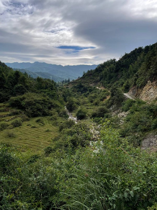 我村最高峰，海拔一千二