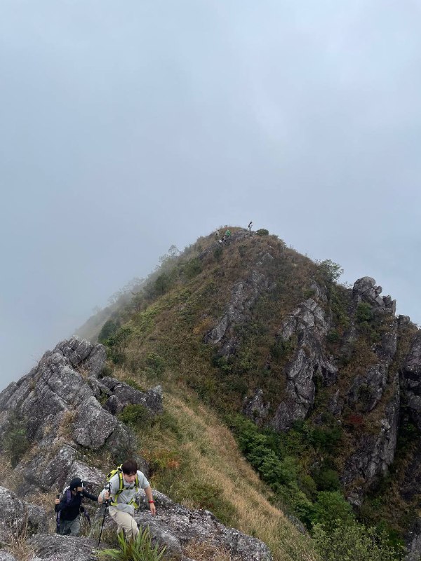 #徒步 #爬山 #Hiking⛰️ 永定笔架山🗓️ 日期：20251109🧗 人数：9 人🛣️ 路线：笔架山反穿环线（15km，爬升 1200m）⏳ 用时：7h 20min📍 福建·龙岩·永定区·虎岗镇·虎西村🏔 该山呈东西走向，属玳瑁山山脉分支，因三峰鼎力状如笔架得名，顶峰海拔 1350m 左右