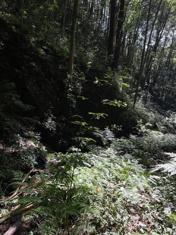 山有小口，仿佛若有光……缘溪行，忘路之远近……13 km，爬升 1000m，又是一条有趣的野线