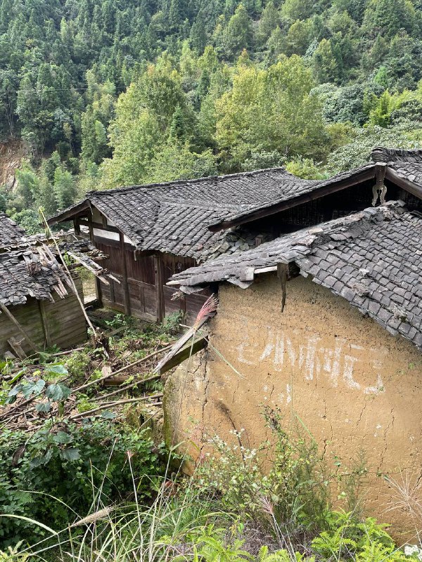 我村最高峰，海拔一千二