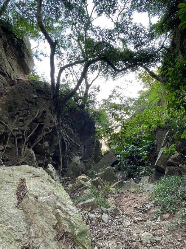 Solo Hiking，走了一条新路线：洞房左 → 蟒蛇壁 → 跳跳谷 → 城院