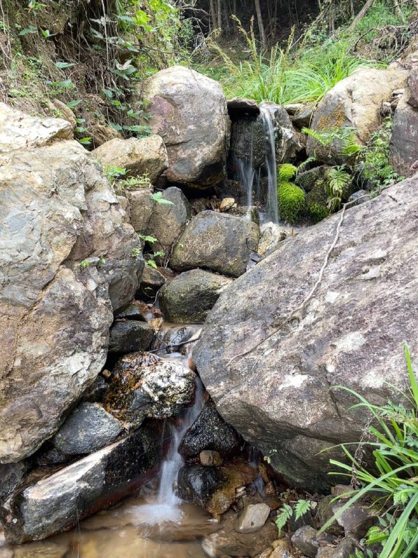 我村最高峰，海拔一千二