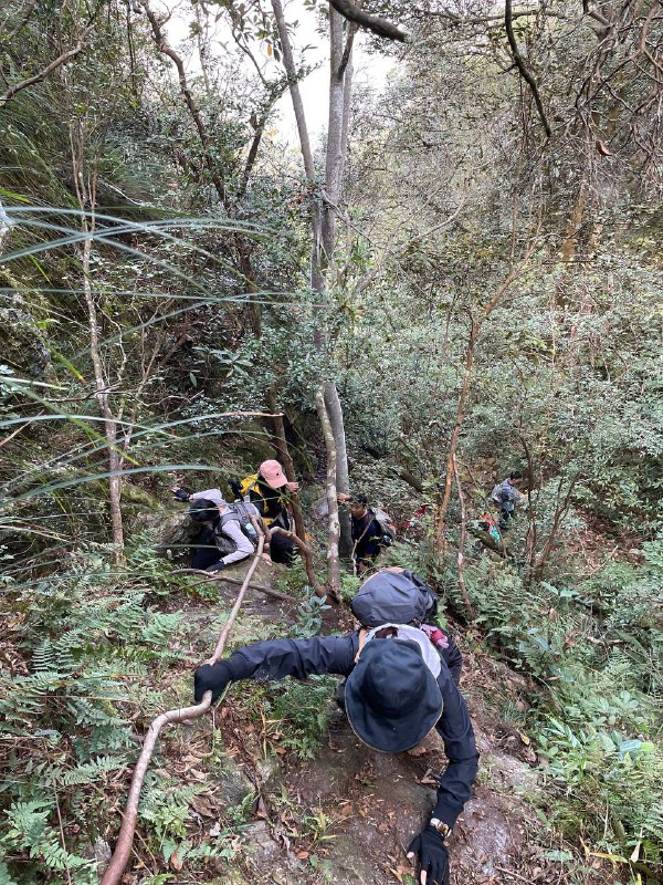 #徒步 #爬山 #Hiking⛰️ 龙门尖笔山 & 狮头山🗓️ 日期：20251206🧗 人数：11 人🛣️ 路线：尖笔山狮头山环线（10km，爬升 1000m）⏳ 用时：7h 25min📍 福建·龙岩·新罗区·龙门镇·洋畲村🏔 该山为紫金五峰之一，是龙岩八景「紫金晴雪」之所在