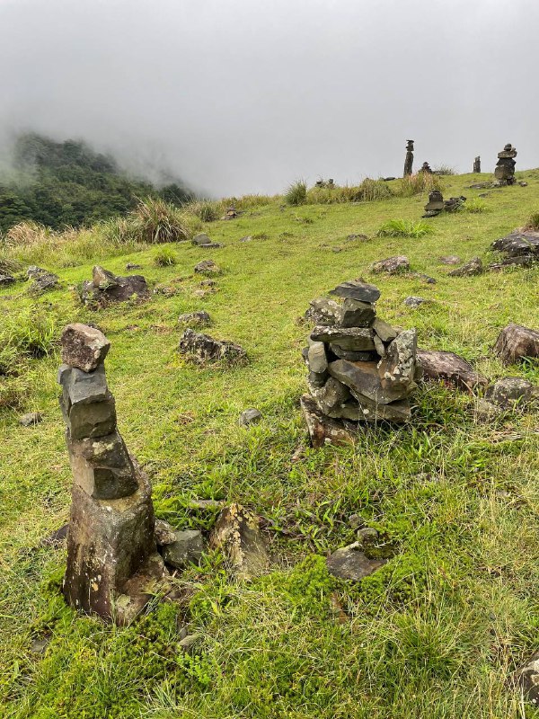 雨徒龙岩草尾山尖，体验感拉满