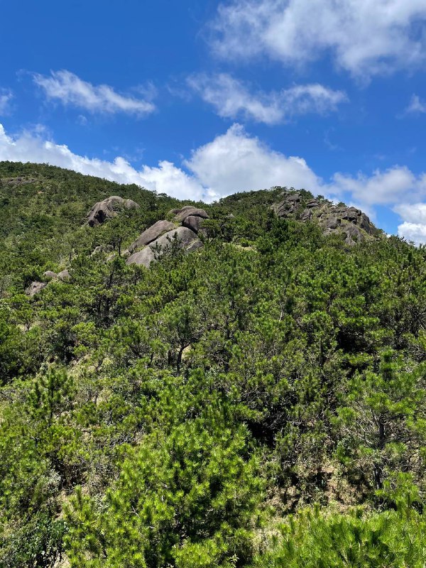 闽西第一峰狗子脑，不走环线或跟庙金山连穿的话很简单