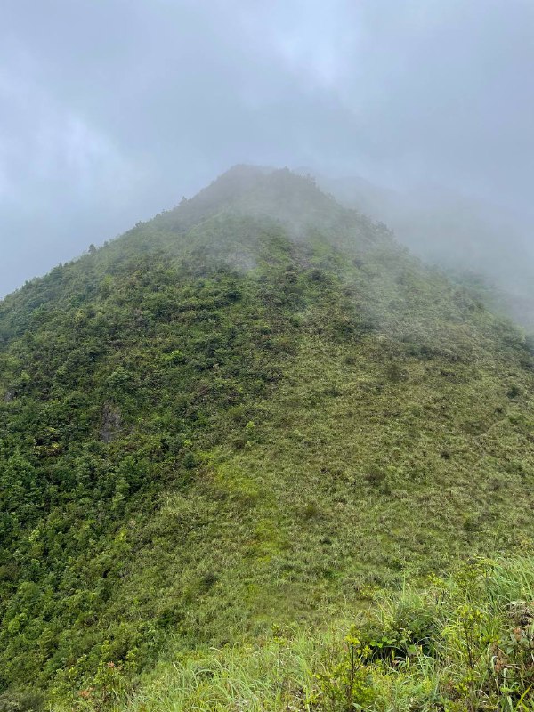 雨徒龙岩草尾山尖，体验感拉满