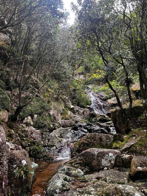 昨天和一群有趣的小伙伴在龙岩爬了黄连盂，不愧能在小红书火起来的新近户外徒步好去处啊