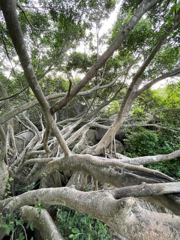 Solo Hiking，走了一条新路线：洞房左 → 蟒蛇壁 → 跳跳谷 → 城院