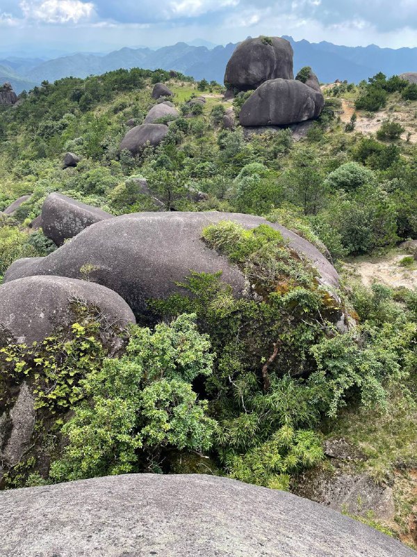闽西第一峰狗子脑，不走环线或跟庙金山连穿的话很简单