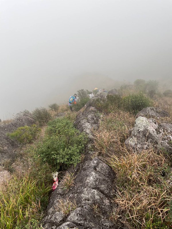 #徒步 #爬山 #Hiking⛰️ 永定笔架山🗓️ 日期：20251109🧗 人数：9 人🛣️ 路线：笔架山反穿环线（15km，爬升 1200m）⏳ 用时：7h 20min📍 福建·龙岩·永定区·虎岗镇·虎西村🏔 该山呈东西走向，属玳瑁山山脉分支，因三峰鼎力状如笔架得名，顶峰海拔 1350m 左右