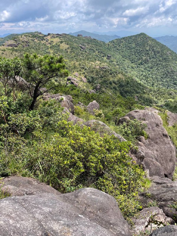 闽西第一峰狗子脑，不走环线或跟庙金山连穿的话很简单