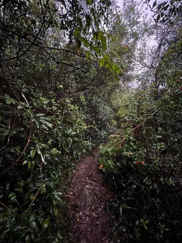 雨中hiking - 厦门·洞房谷雨中hiking - 厦门·洞房谷