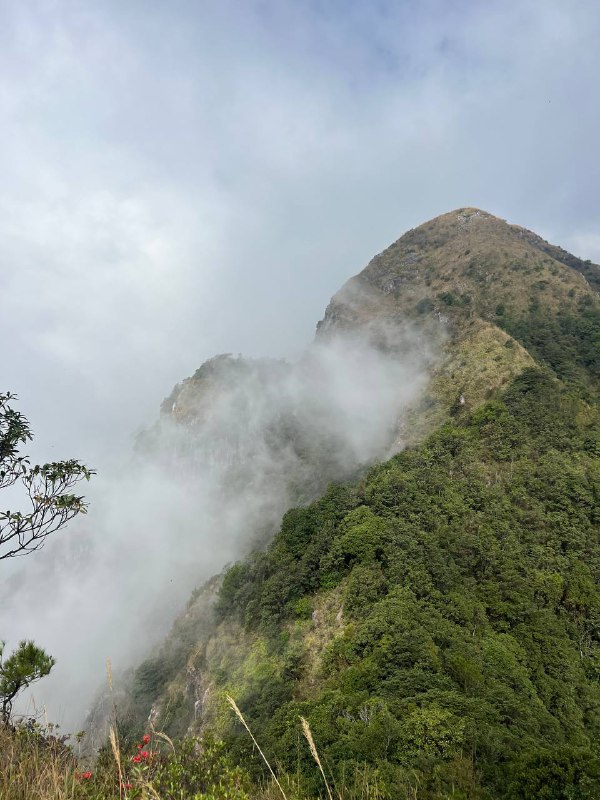 上次五山穿越没走九十九墩，这次终于全程走完了