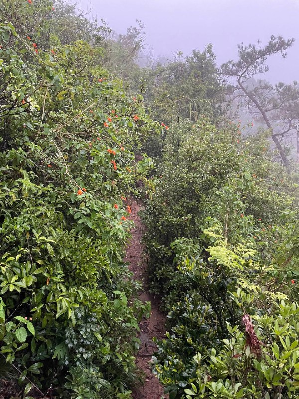 雨中hiking - 厦门·洞房谷雨中hiking - 厦门·洞房谷