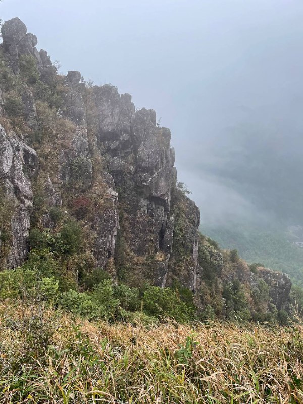 #徒步 #爬山 #Hiking⛰️ 永定笔架山🗓️ 日期：20251109🧗 人数：9 人🛣️ 路线：笔架山反穿环线（15km，爬升 1200m）⏳ 用时：7h 20min📍 福建·龙岩·永定区·虎岗镇·虎西村🏔 该山呈东西走向，属玳瑁山山脉分支，因三峰鼎力状如笔架得名，顶峰海拔 1350m 左右