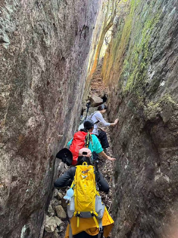 #徒步 #爬山 #Hiking⛰️ 龙门尖笔山 & 狮头山🗓️ 日期：20251206🧗 人数：11 人🛣️ 路线：尖笔山狮头山环线（10km，爬升 1000m）⏳ 用时：7h 25min📍 福建·龙岩·新罗区·龙门镇·洋畲村🏔 该山为紫金五峰之一，是龙岩八景「紫金晴雪」之所在