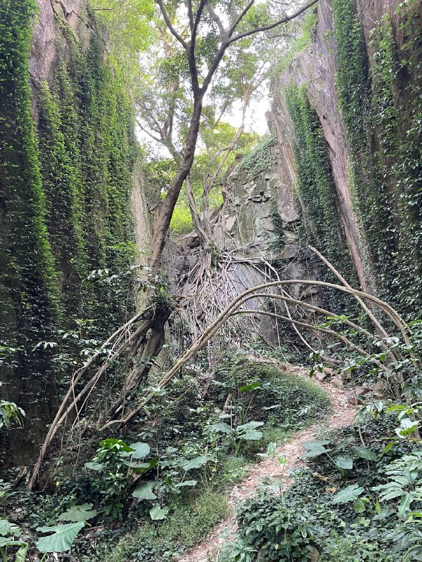 Solo Hiking，走了一条新路线：洞房左 → 蟒蛇壁 → 跳跳谷 → 城院