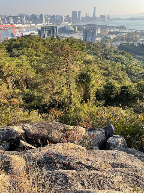 爬了座小山，基本上是散步路线，一小部分路段需要爬点石头