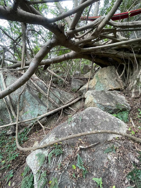 台风「杜苏芮」来的前一天，其强度、登陆点不禁让人想起前些年的超强台风「莫兰蒂」