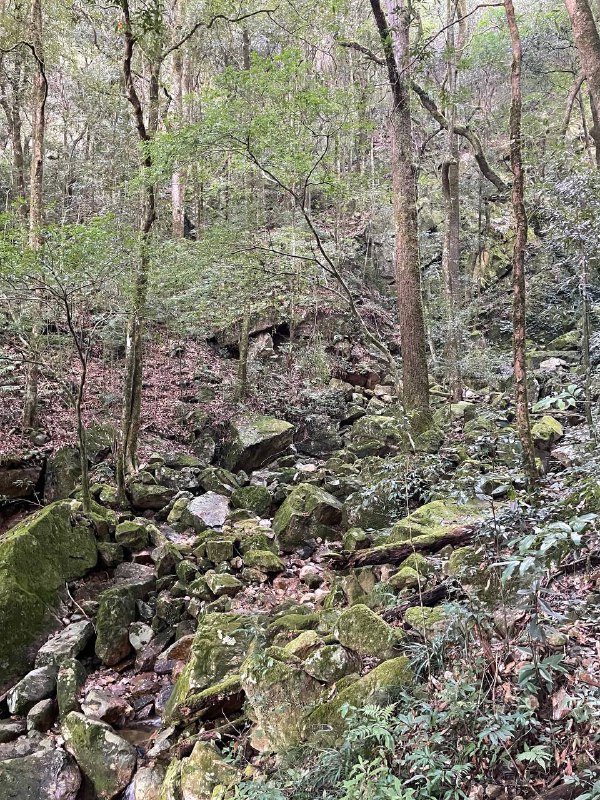 昨天和一群有趣的小伙伴在龙岩爬了黄连盂，不愧能在小红书火起来的新近户外徒步好去处啊